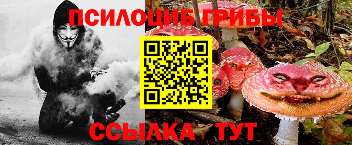 Псилоцибиновые грибы Cubensis  Вход с VPN  Саяногорск 