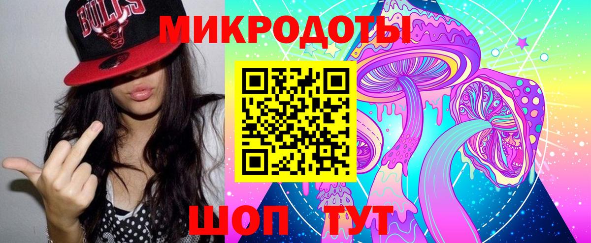 Псилоцибиновые грибы Psilocybe Саяногорск